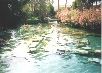 Hierapolis - Thermal and Sacred Pools