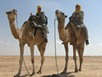 Sahara Camel Ride near Douz